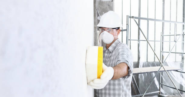 Best Real Estate Mold Inspection  in Belvidere, IL